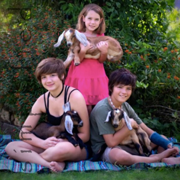 SIMPLIFIED Oatmeal, Milk & Honey 5-Piece Sampler Set - Picture 11 of 12